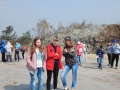 DSCN8919_wynik